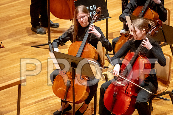2024 University of Illinois High School Orchestra ClinicFebruary 24, 2024