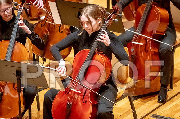 2024 University of Illinois High School Orchestra ClinicFebruary 24, 2024