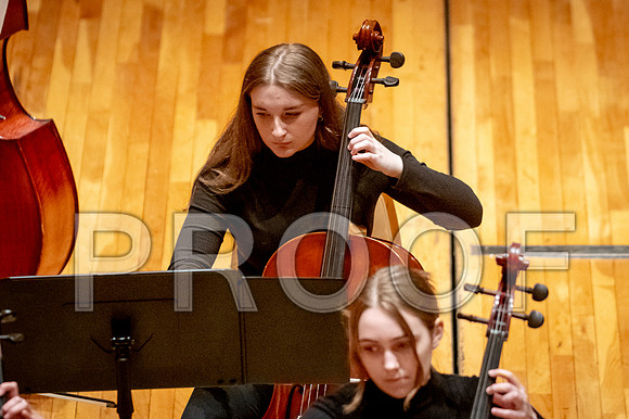 2024 University of Illinois High School Orchestra ClinicFebruary 24, 2024