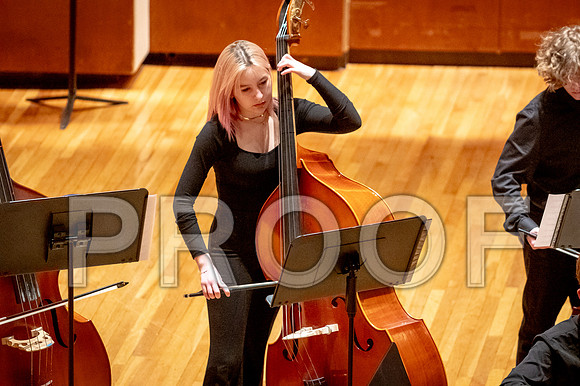 2024 University of Illinois High School Orchestra ClinicFebruary 24, 2024