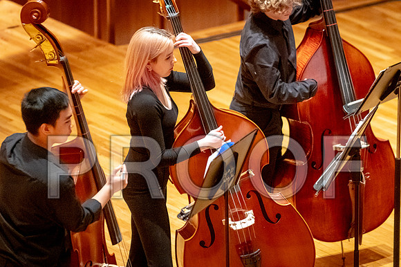 2024 University of Illinois High School Orchestra ClinicFebruary 24, 2024