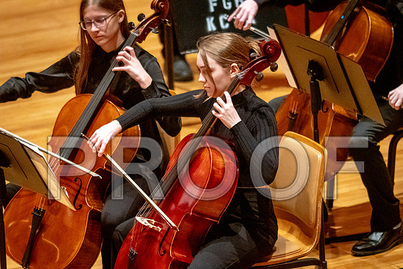 2024 University of Illinois High School Orchestra ClinicFebruary 24, 2024