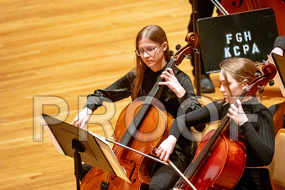2024 University of Illinois High School Orchestra ClinicFebruary 24, 2024