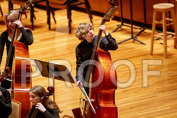 2024 University of Illinois High School Orchestra ClinicFebruary 24, 2024