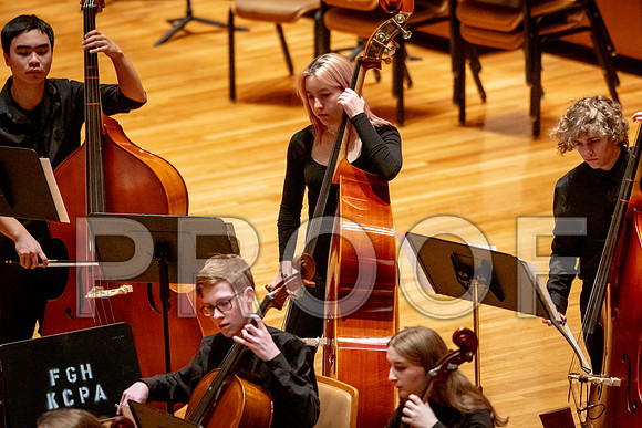2024 University of Illinois High School Orchestra ClinicFebruary 24, 2024