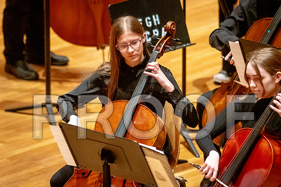 2024 University of Illinois High School Orchestra ClinicFebruary 24, 2024