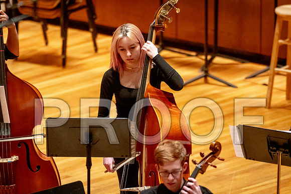 2024 University of Illinois High School Orchestra ClinicFebruary 24, 2024