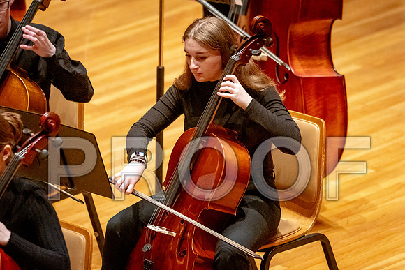 2024 University of Illinois High School Orchestra ClinicFebruary 24, 2024