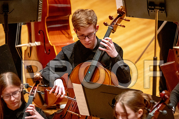 2024 University of Illinois High School Orchestra ClinicFebruary 24, 2024