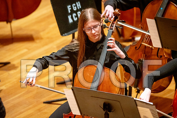 2024 University of Illinois High School Orchestra ClinicFebruary 24, 2024
