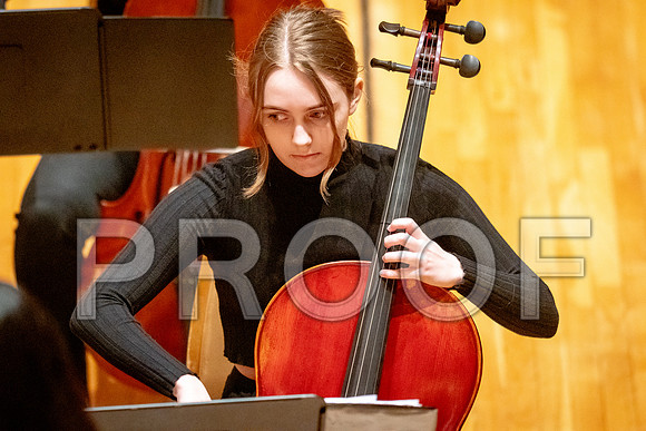 2024 University of Illinois High School Orchestra ClinicFebruary 24, 2024