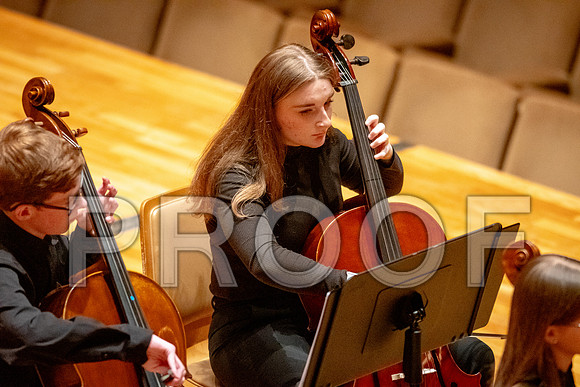 2024 University of Illinois High School Orchestra ClinicFebruary 24, 2024