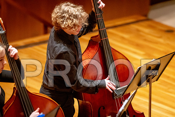 2024 University of Illinois High School Orchestra ClinicFebruary 24, 2024