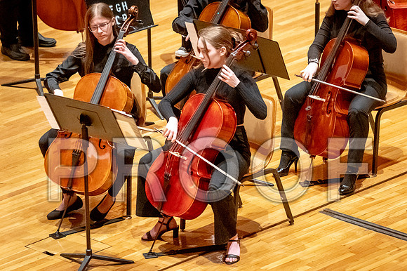 2024 University of Illinois High School Orchestra ClinicFebruary 24, 2024