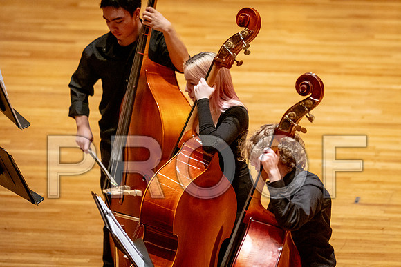 2024 University of Illinois High School Orchestra ClinicFebruary 24, 2024