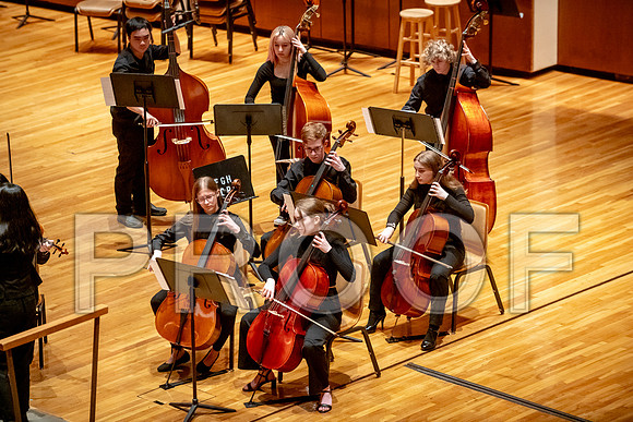 2024 University of Illinois High School Orchestra ClinicFebruary 24, 2024
