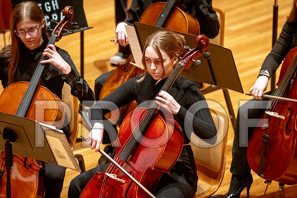2024 University of Illinois High School Orchestra ClinicFebruary 24, 2024