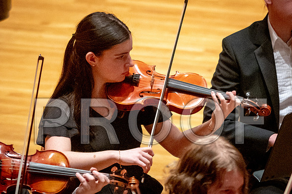 2024 University of Illinois High School Orchestra ClinicFebruary 24, 2024