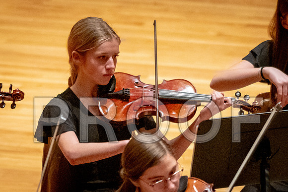 2024 University of Illinois High School Orchestra ClinicFebruary 24, 2024