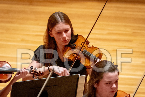 2024 University of Illinois High School Orchestra ClinicFebruary 24, 2024