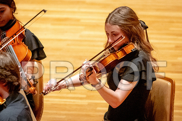 2024 University of Illinois High School Orchestra ClinicFebruary 24, 2024