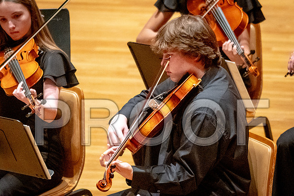 2024 University of Illinois High School Orchestra ClinicFebruary 24, 2024
