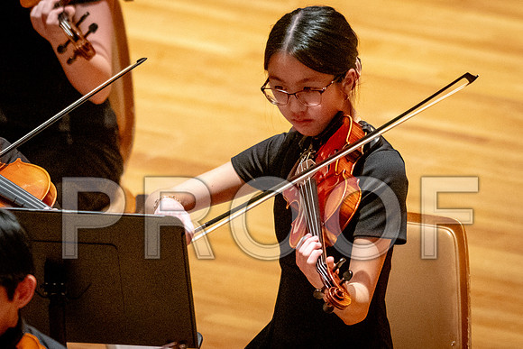 2024 University of Illinois High School Orchestra ClinicFebruary 24, 2024
