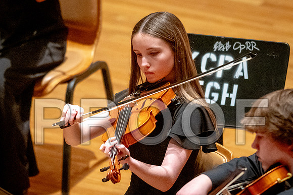 2024 University of Illinois High School Orchestra ClinicFebruary 24, 2024