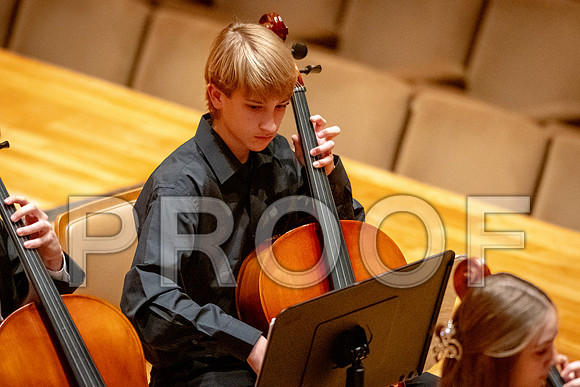2024 University of Illinois High School Orchestra ClinicFebruary 24, 2024