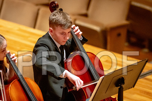 2024 University of Illinois High School Orchestra ClinicFebruary 24, 2024