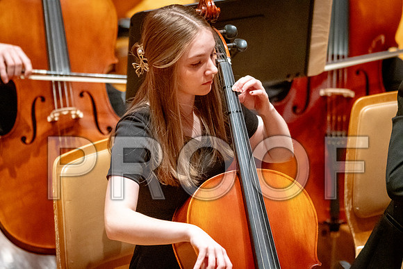 2024 University of Illinois High School Orchestra ClinicFebruary 24, 2024