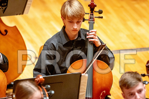 2024 University of Illinois High School Orchestra ClinicFebruary 24, 2024
