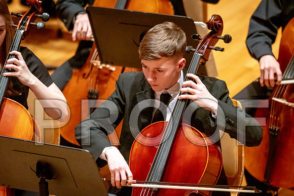 2024 University of Illinois High School Orchestra ClinicFebruary 24, 2024