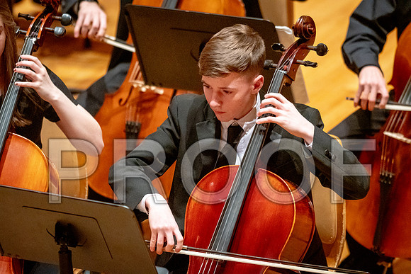 2024 University of Illinois High School Orchestra ClinicFebruary 24, 2024