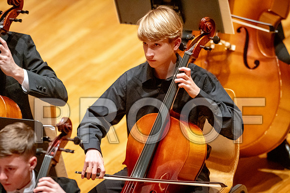 2024 University of Illinois High School Orchestra ClinicFebruary 24, 2024