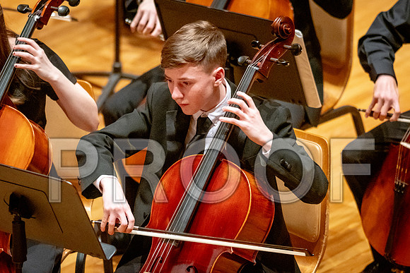 2024 University of Illinois High School Orchestra ClinicFebruary 24, 2024