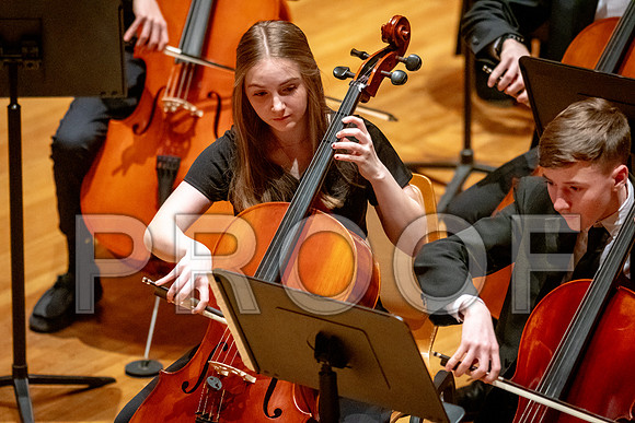 2024 University of Illinois High School Orchestra ClinicFebruary 24, 2024