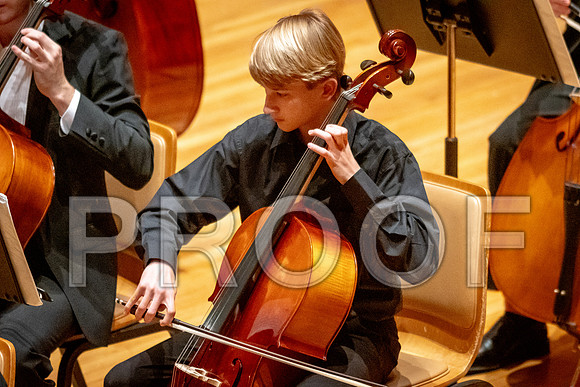 2024 University of Illinois High School Orchestra ClinicFebruary 24, 2024