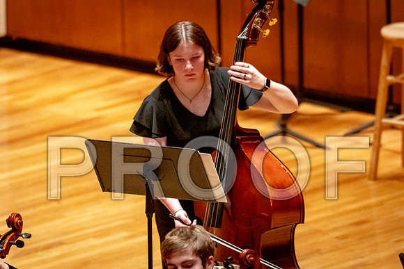 2024 University of Illinois High School Orchestra ClinicFebruary 24, 2024