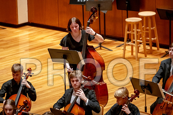 2024 University of Illinois High School Orchestra ClinicFebruary 24, 2024