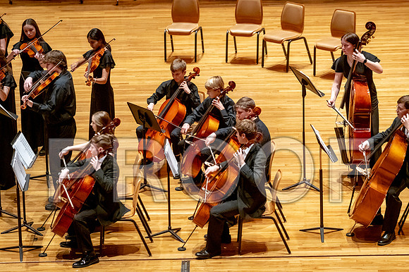 2024 University of Illinois High School Orchestra ClinicFebruary 24, 2024