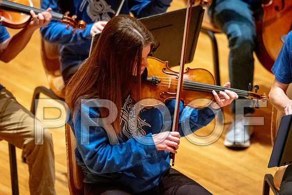 2024 University of Illinois High School Orchestra ClinicFebruary 24, 2024