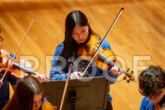 2024 University of Illinois High School Orchestra ClinicFebruary 24, 2024