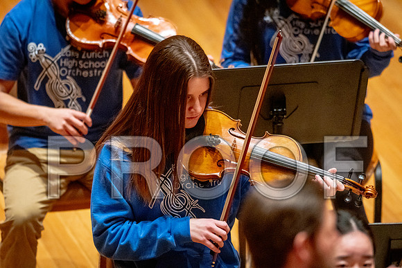 2024 University of Illinois High School Orchestra ClinicFebruary 24, 2024