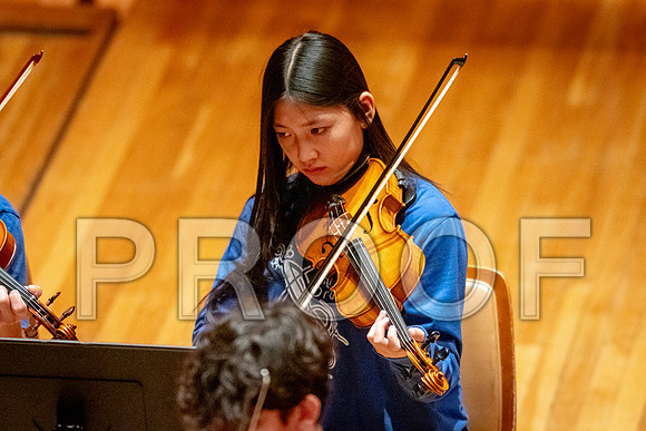 2024 University of Illinois High School Orchestra ClinicFebruary 24, 2024