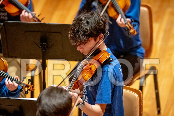 2024 University of Illinois High School Orchestra ClinicFebruary 24, 2024