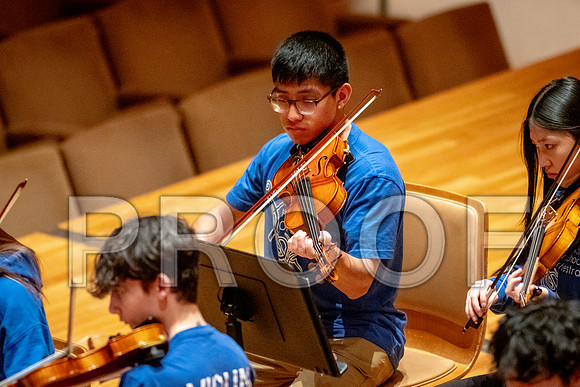 2024 University of Illinois High School Orchestra ClinicFebruary 24, 2024