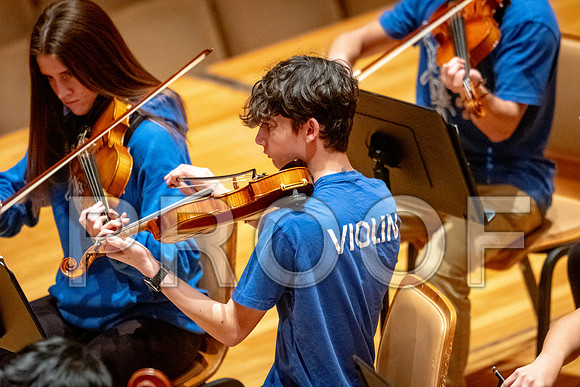 2024 University of Illinois High School Orchestra ClinicFebruary 24, 2024