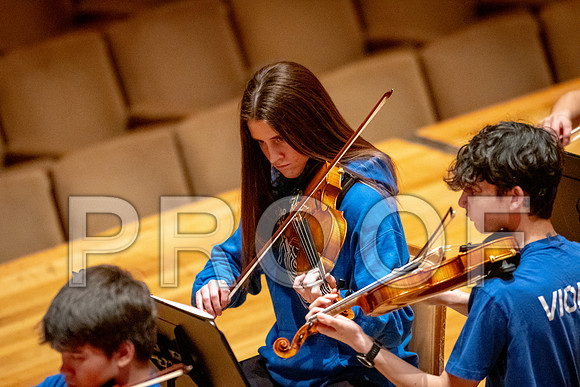 2024 University of Illinois High School Orchestra ClinicFebruary 24, 2024