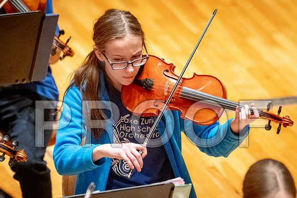 2024 University of Illinois High School Orchestra ClinicFebruary 24, 2024